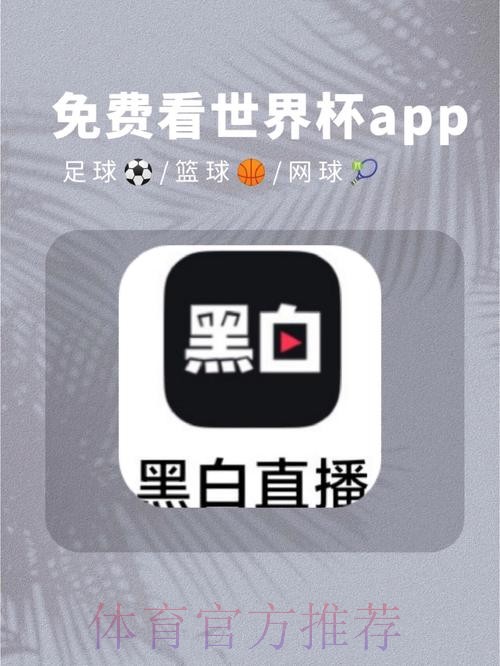 免费下载世界杯预测APP的入口与地址详解